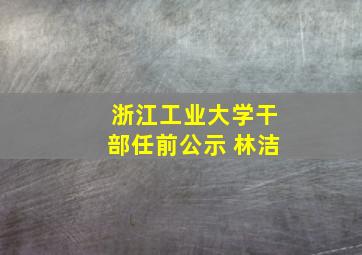 浙江工业大学干部任前公示 林洁